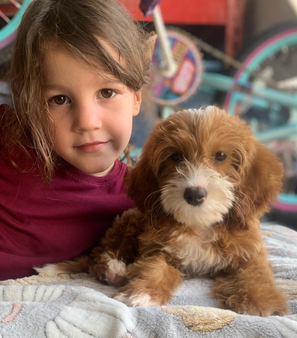 girl and goldendoodle puppy in Las Vegas, Nevada