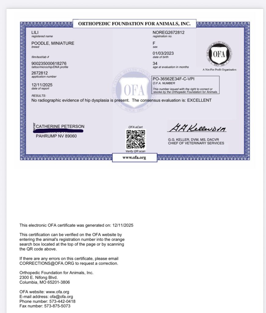 OFA hip certification document showing excellent results for Lili poodle in Las Vegas, Nevada